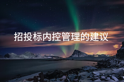 招投标内控管理的建议