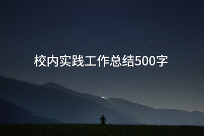 校内实践工作总结500字