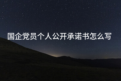 国企党员个人公开承诺书怎么写