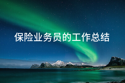保险业务员的工作总结