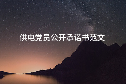 供电党员公开承诺书范文