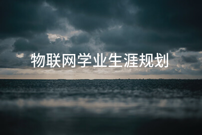 物联网学业生涯规划