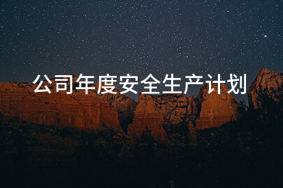 公司年度安全生产计划