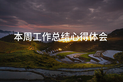 本周工作总结心得体会