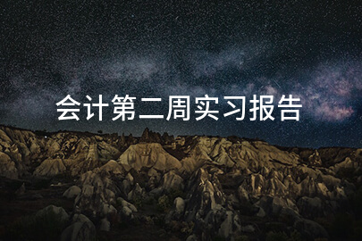 会计第二周实习报告