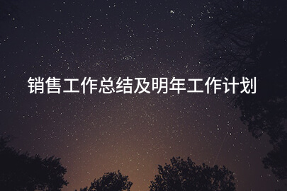 销售工作总结及明年工作计划