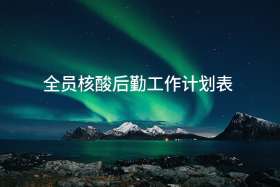 全员核酸后勤工作计划表