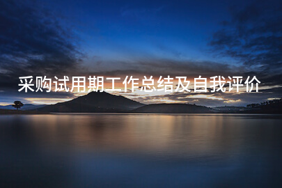 采购试用期工作总结及自我评价
