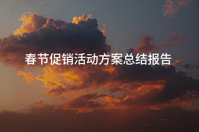 春节促销活动方案总结报告