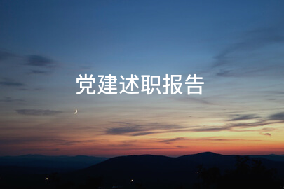 党建述职报告