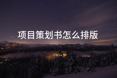 项目策划书怎么排版