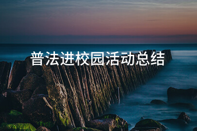普法进校园活动总结