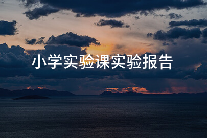 小学实验课实验报告