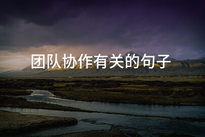 团队协作有关的句子