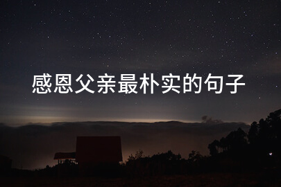 感恩父亲最朴实的句子