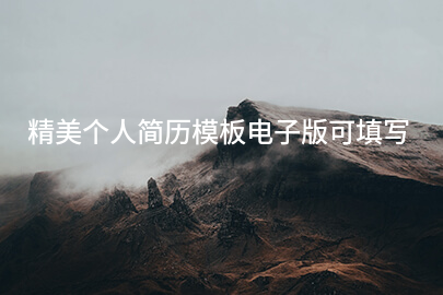 精美个人简历模板电子版可填写