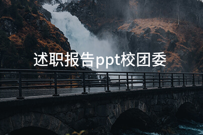 述职报告ppt校团委