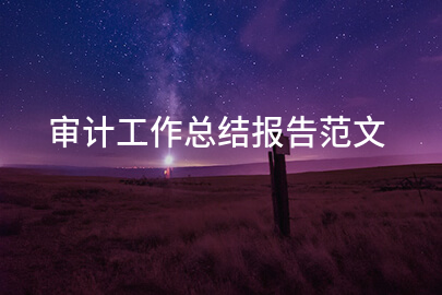 审计工作总结报告范文