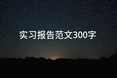 實習報告范文300字