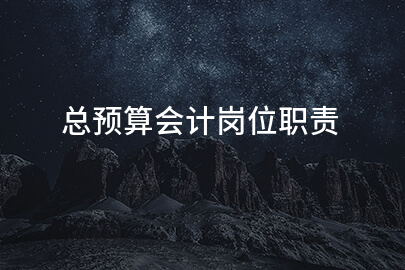 总预算会计岗位职责