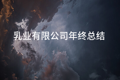 乳业有限公司年终总结
