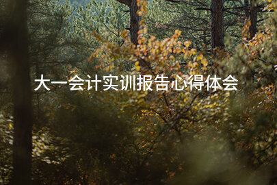 大一会计实训报告心得体会