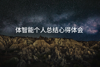 体智能个人总结心得体会