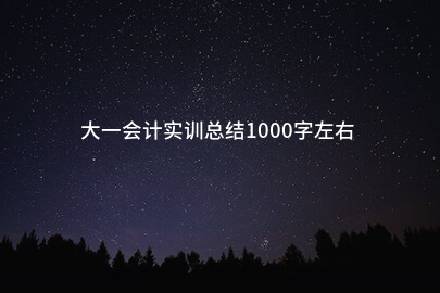 大一会计实训总结1000字左右