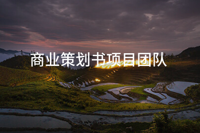 商业策划书项目团队