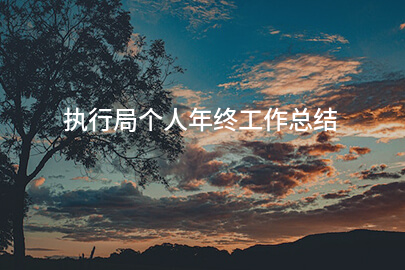 执行局个人年终工作总结