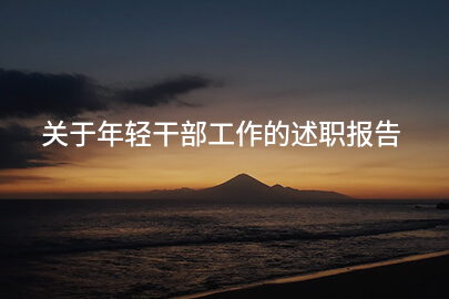 关于年轻干部工作的述职报告