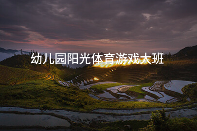 幼儿园阳光体育游戏大班