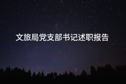 文旅局党支部书记述职报告
