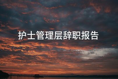 护士管理层辞职报告