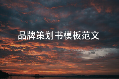 品牌策划书模板范文
