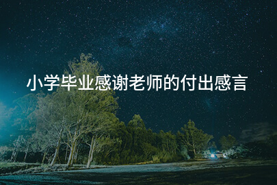 小学毕业感谢老师的付出感言