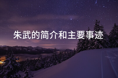 朱武的简介和主要事迹