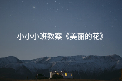 小小小班教案《美丽的花》