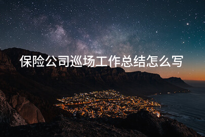 保险公司巡场工作总结怎么写
