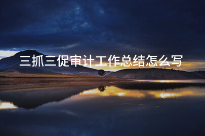 三抓三促审计工作总结怎么写