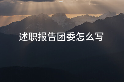 述职报告团委怎么写