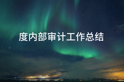 度内部审计工作总结