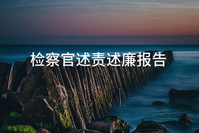 检察官述责述廉报告