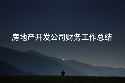 房地产开发公司财务工作总结