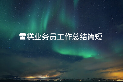 雪糕业务员工作总结简短