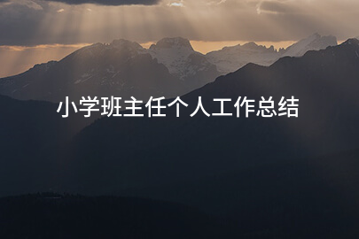 小学班主任个人工作总结