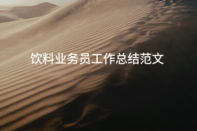 饮料业务员工作总结范文