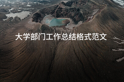 大学部门工作总结格式范文