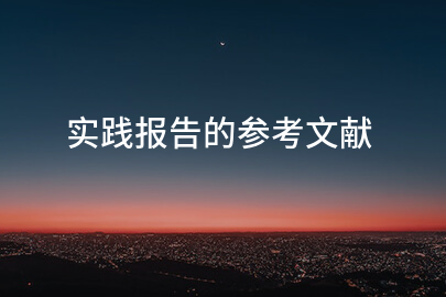 实践报告的参考文献