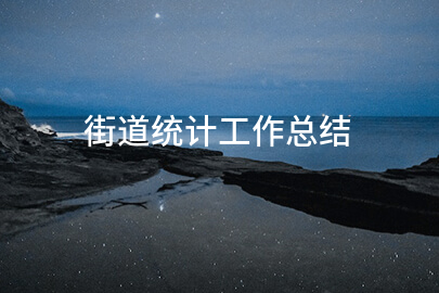 街道统计工作总结
